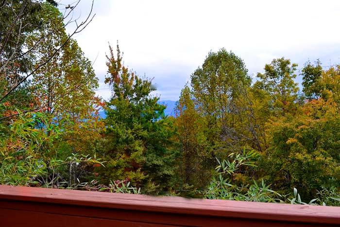 Lover'S Loft Gatlinburg Eksteriør bilde